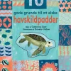 10 gode grunde til at elske havskildpadder