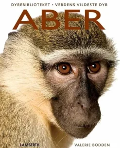 Aber