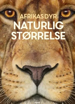 Afrikas dyr - i naturlig størrelse