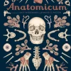 Anatomicum