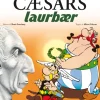 Asterix 18