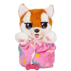 Baby Paws Mini - Shibainu