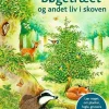 Bøgetræet og andet liv i skoven