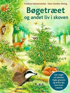 Bøgetræet og andet liv i skoven