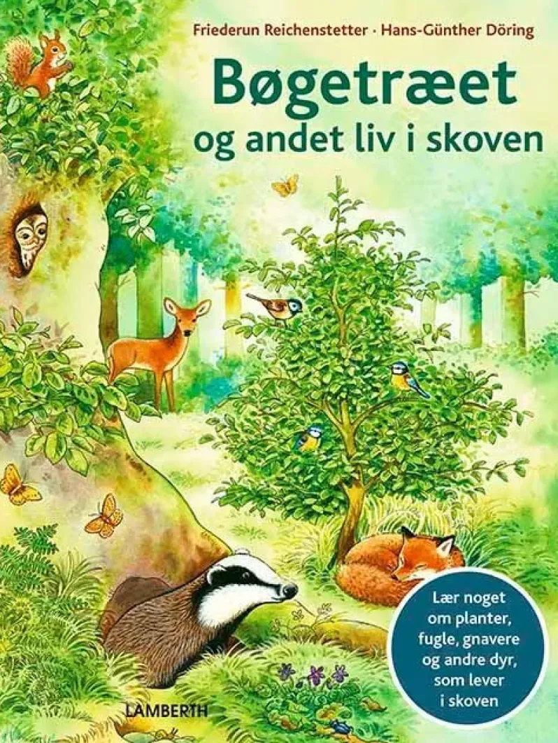 Bøgetræet og andet liv i skoven