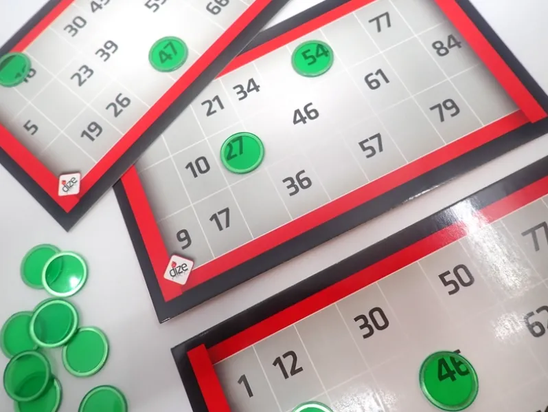 Bingo plader 12pak