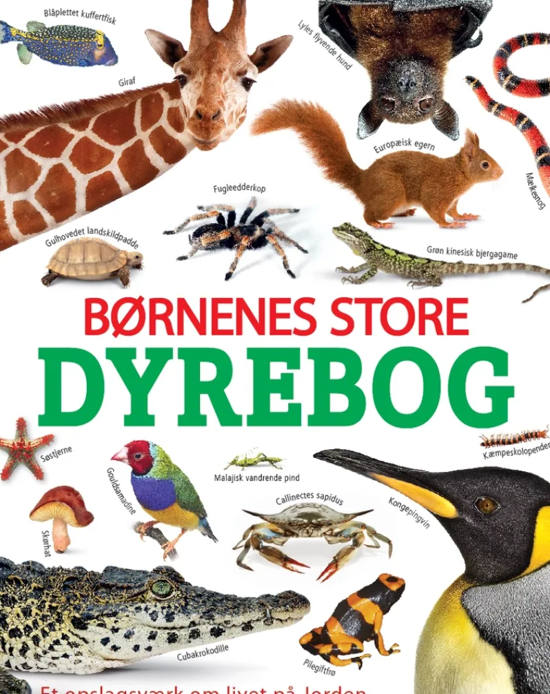 Børnenes store dyrebog