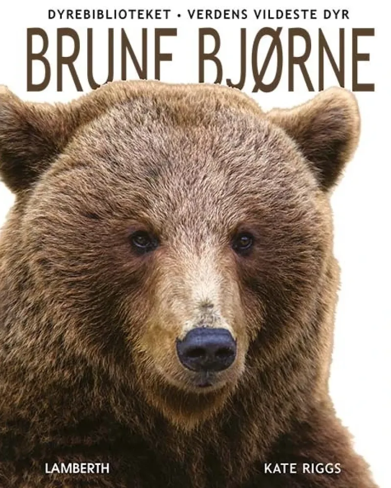 Brune bjørne