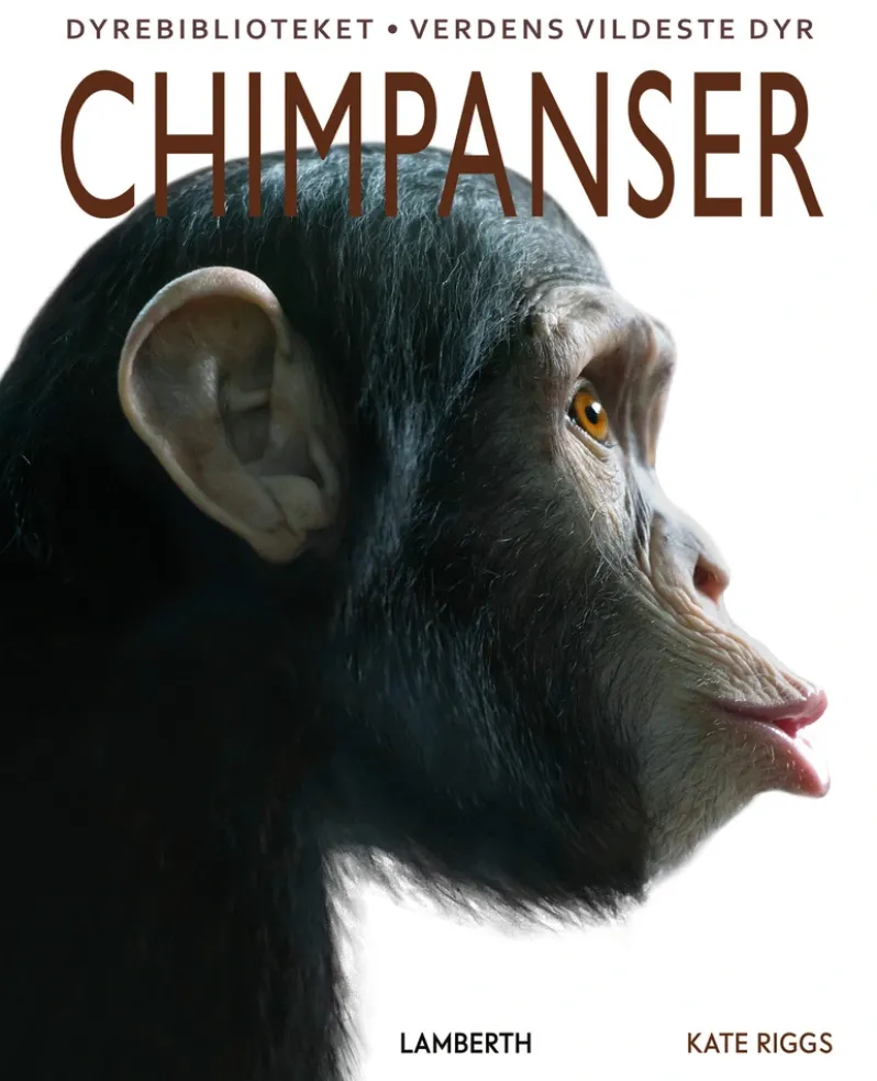 Chimpanser
