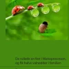 De ruller en fest i Marieprovinsen, og får halve valnødder i familien