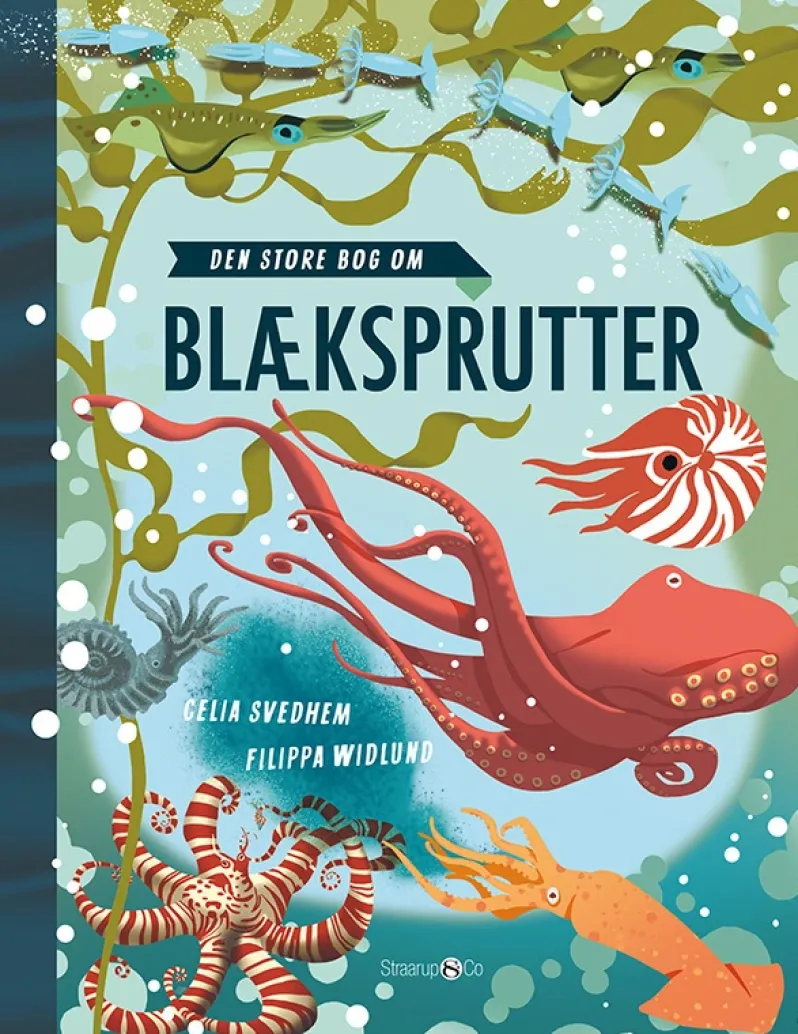 Den store bog om blæksprutter