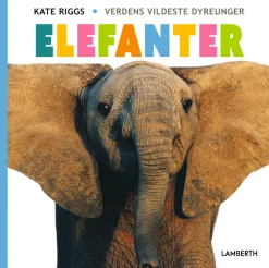 Elefanter