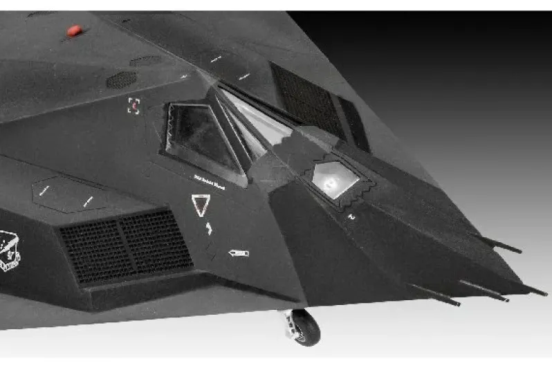 F-117A Nighthawk Stealth Fighter