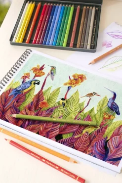 Farveblyant polychromos Faber-Castell 24 farver