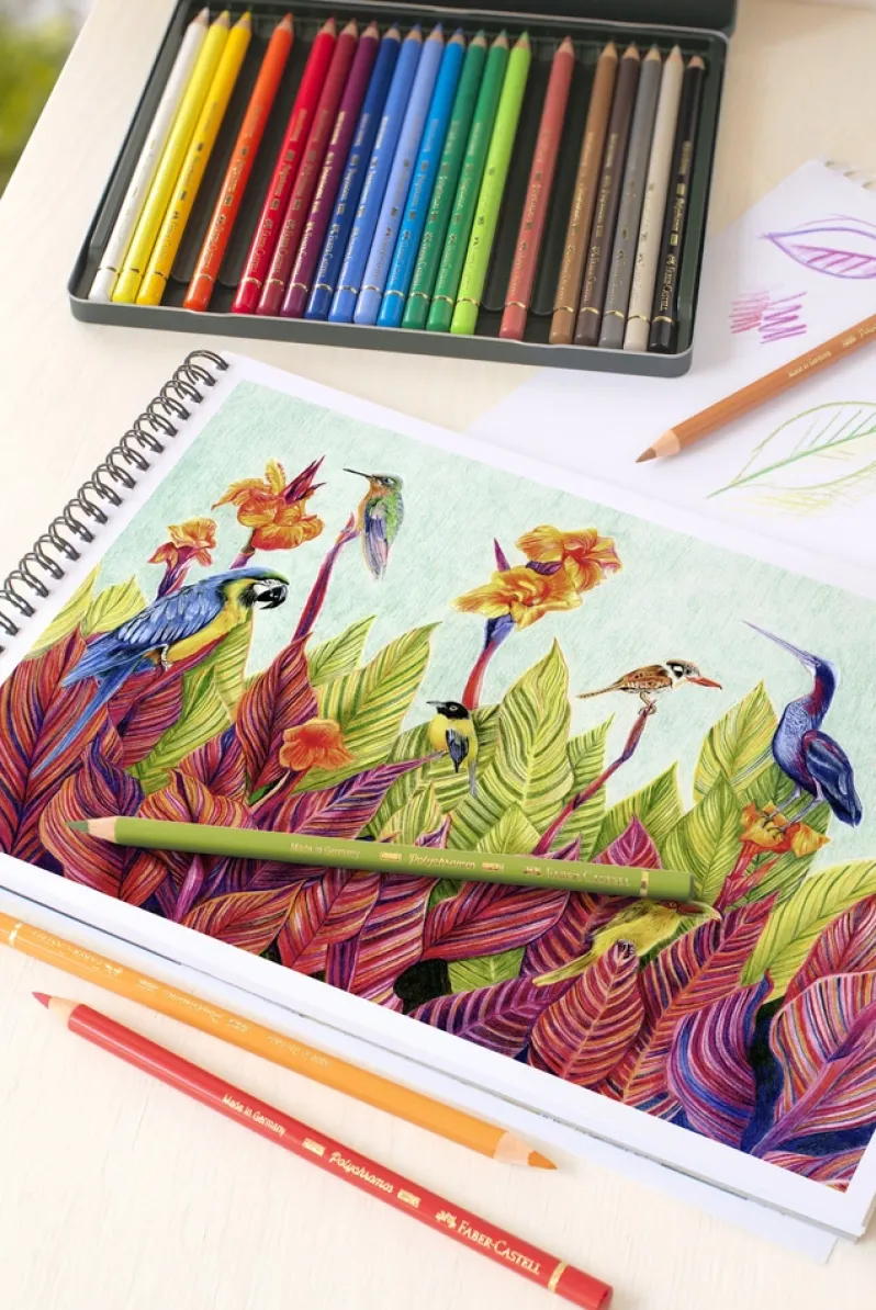 Farveblyant polychromos Faber-Castell 24 farver