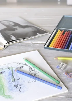 Farveblyant polychromos Faber-Castell 24 farver