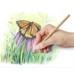 Farveblyant Staedtler Pastel 12 Stk