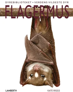 Flagermus