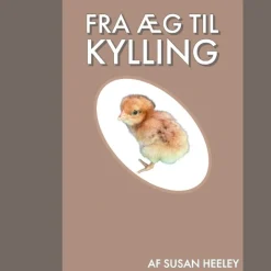Fra æg til kylling
