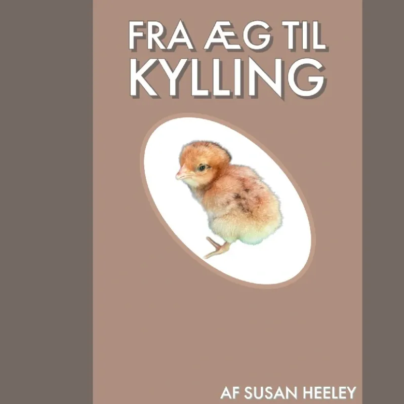 Fra æg til kylling