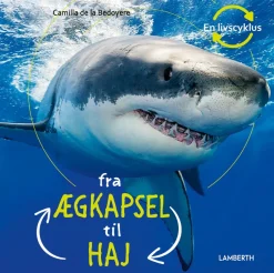 Fra ægkapsel til haj