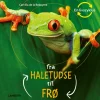 Fra haletudse til frø