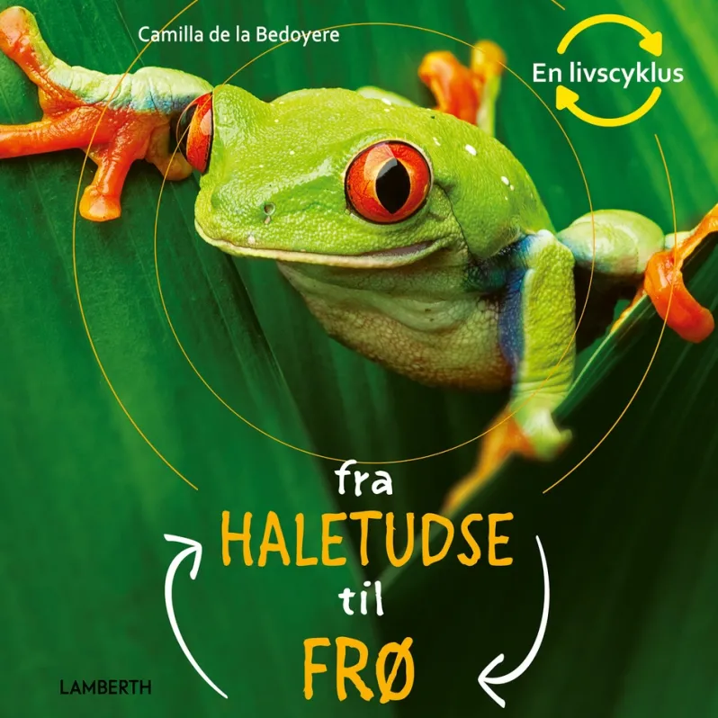 Fra haletudse til frø