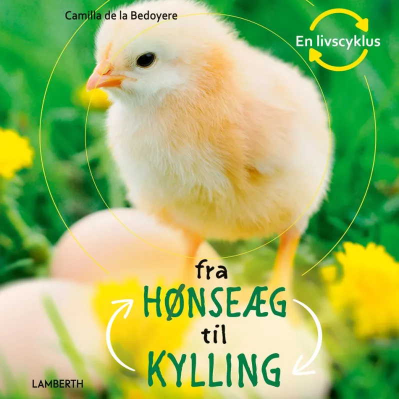 Fra hønseæg til kylling