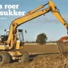 Fra roer til sukker