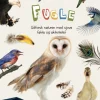 Fugle