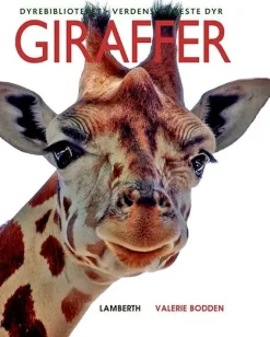 Giraffer