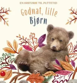 Godnat, lille Bjørn