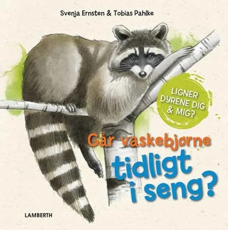 Går vaskebjørne tidligt i seng?
