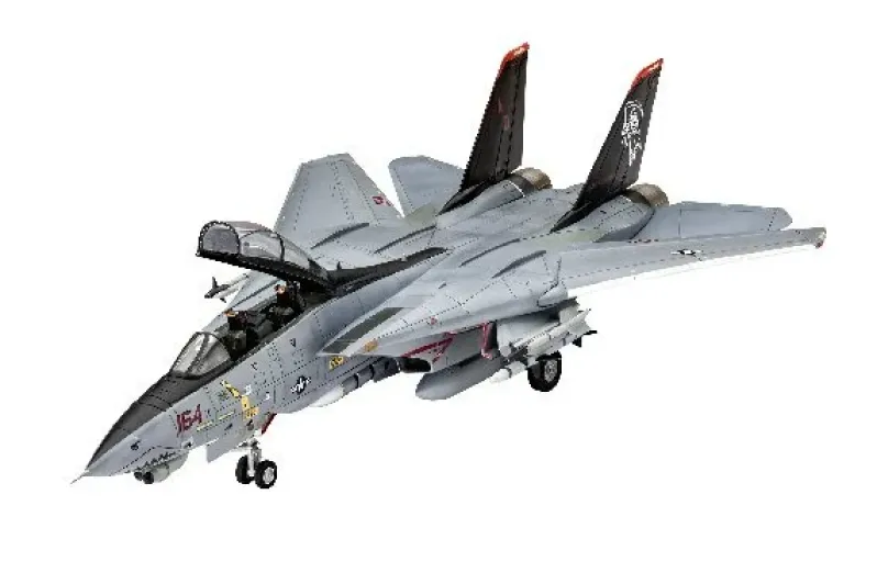Grumman F-14D Super Tomcat