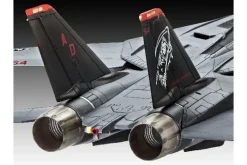 Grumman F-14D Super Tomcat