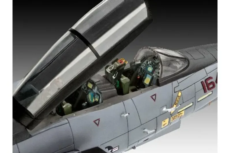 Grumman F-14D Super Tomcat