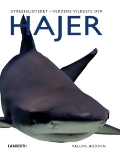 Hajer