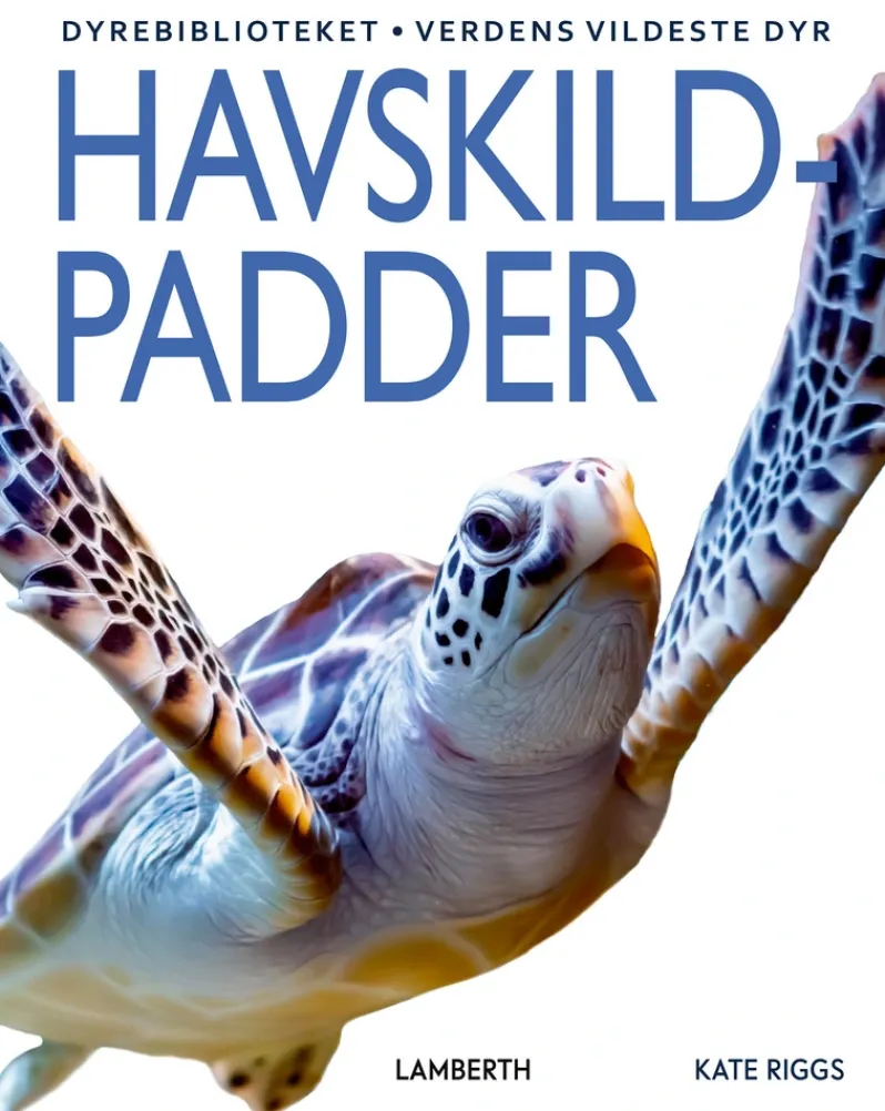 Havskildpadder