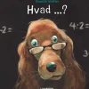 Hvad?