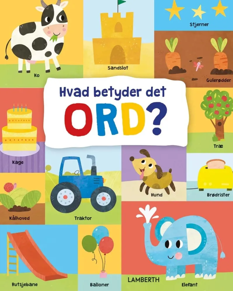 Hvad betyder det ord?