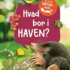 Hvad bor i haven?
