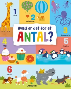 Hvad er det for et antal?