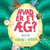 Hvad er et æg?