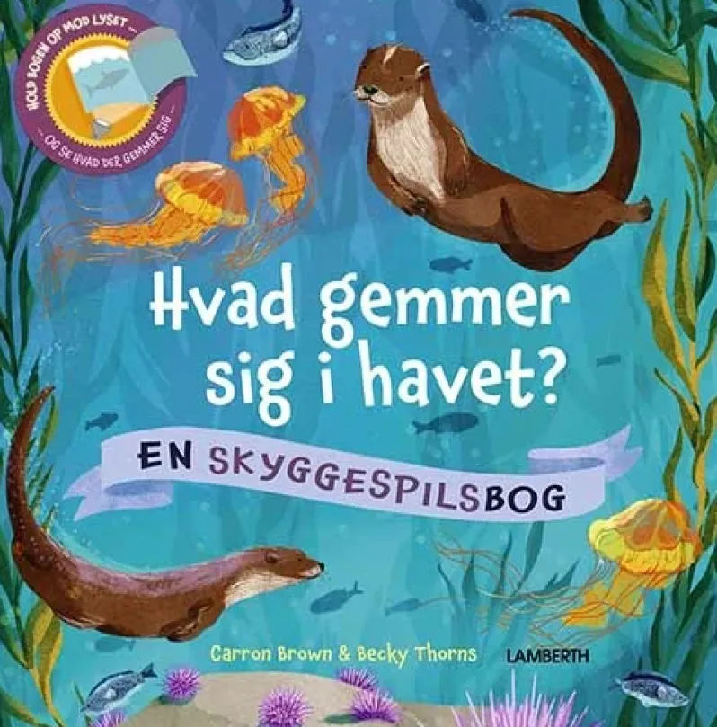 Hvad gemmer sig i havet?