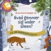Hvad gemmer sig under sneen?