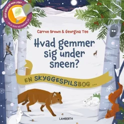Hvad gemmer sig under sneen?