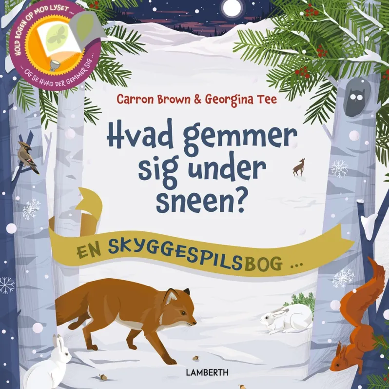 Hvad gemmer sig under sneen?