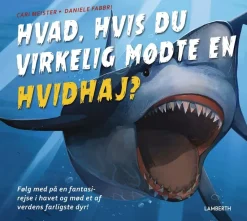 Hvad, hvis du virkelig mødte en hvidhaj?