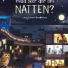 Hvad sker der om natten?