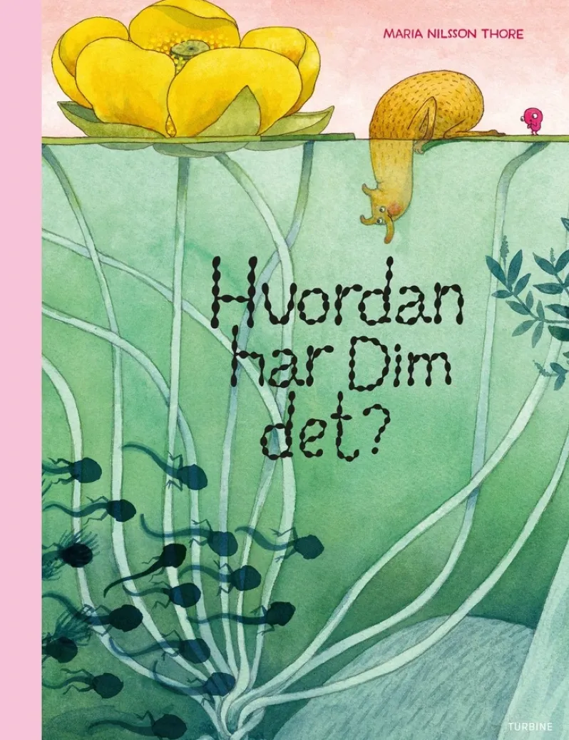 Hvordan har Dim det?